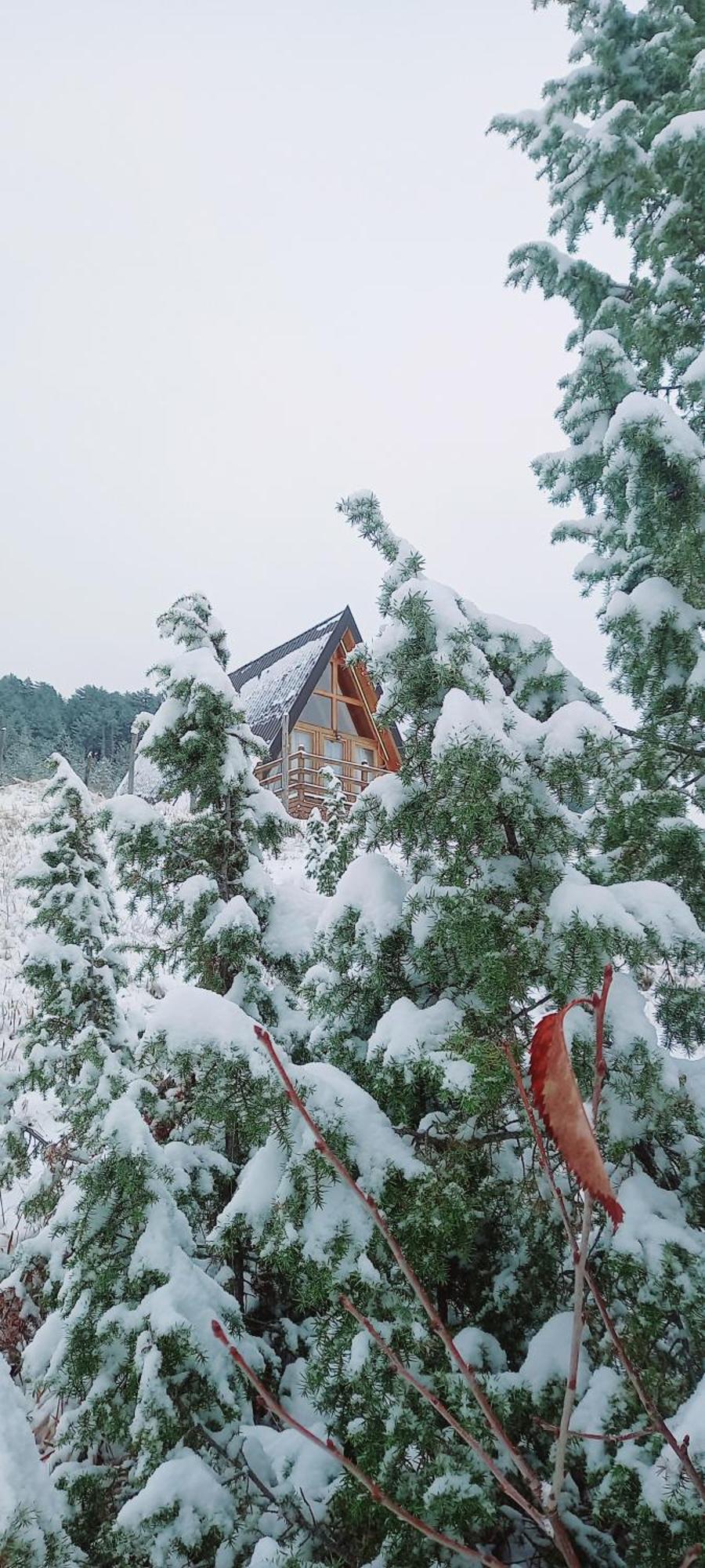 Vila Monte Zen Žabljak Exteriér fotografie