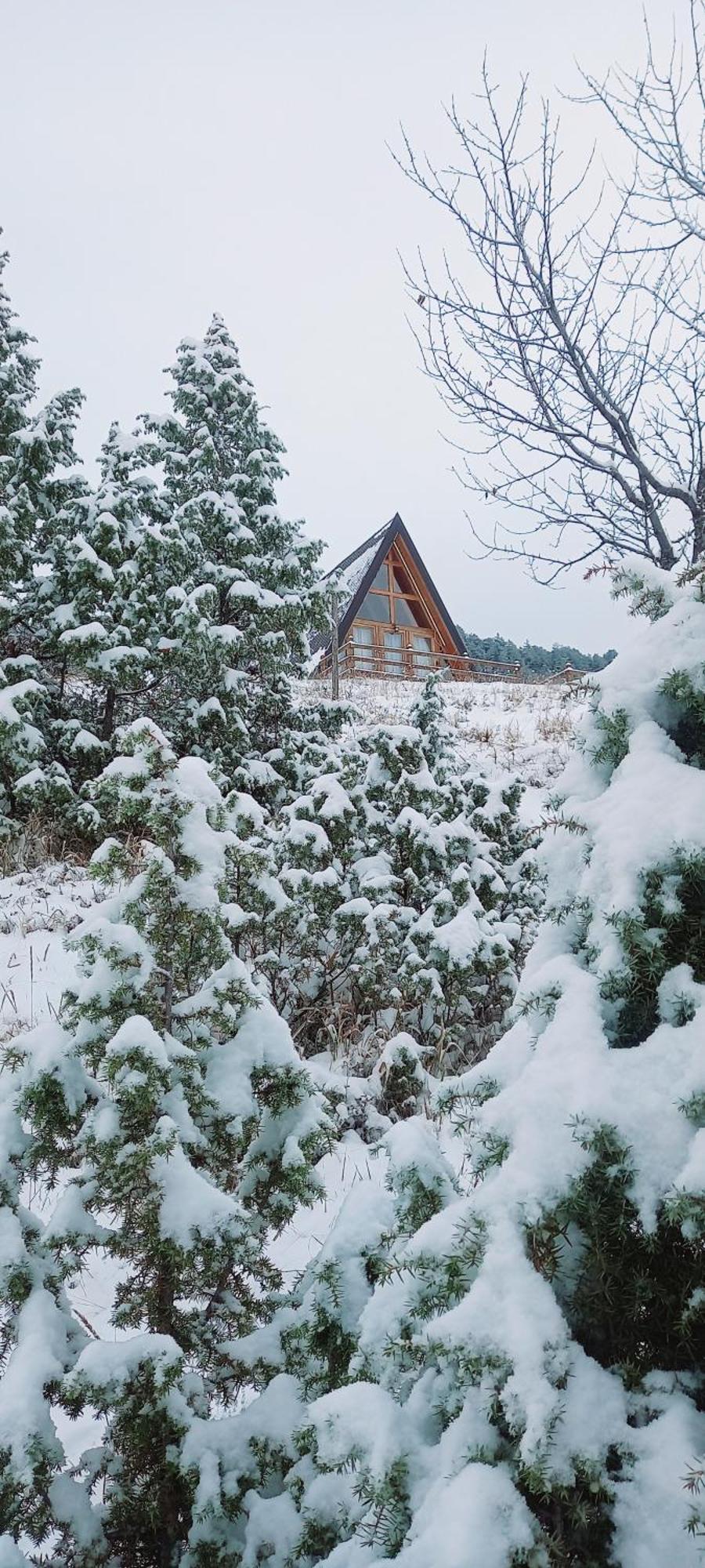 Vila Monte Zen Žabljak Exteriér fotografie
