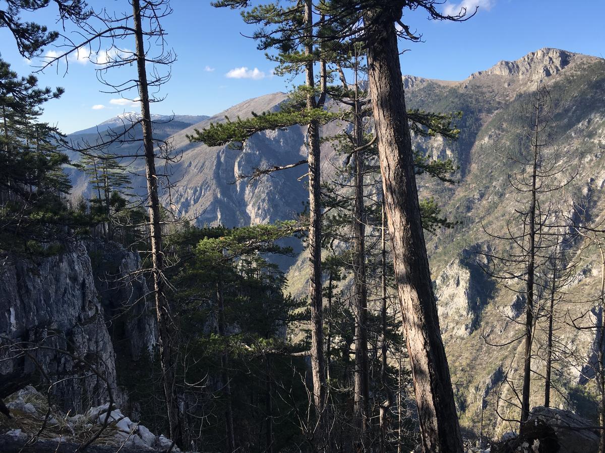 Vila Monte Zen Žabljak Exteriér fotografie